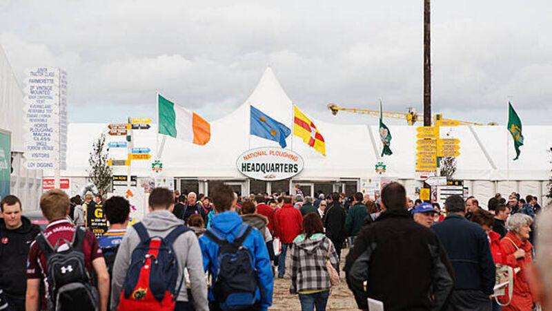 Machinery, livestock, brown bread contests: Countdown is on for Ploughing 2025