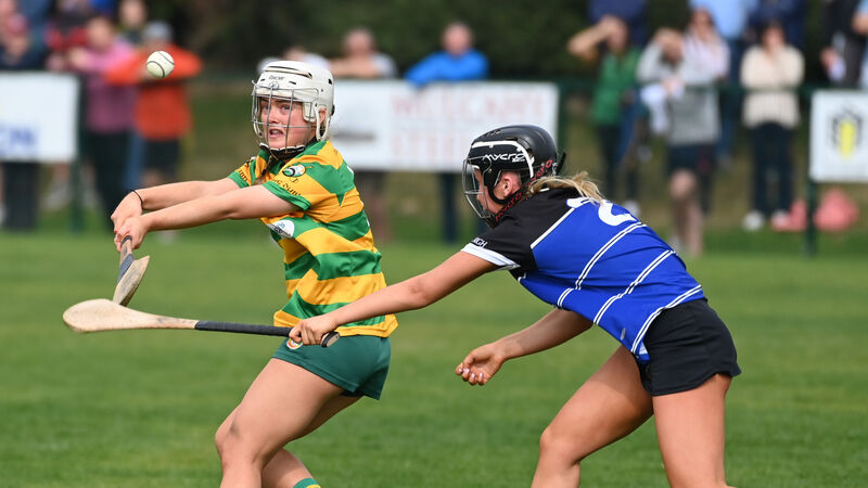 Cork Camogie: Courcey Rovers, Éire Óg, Blackrock and Carbery chase quarter-final places