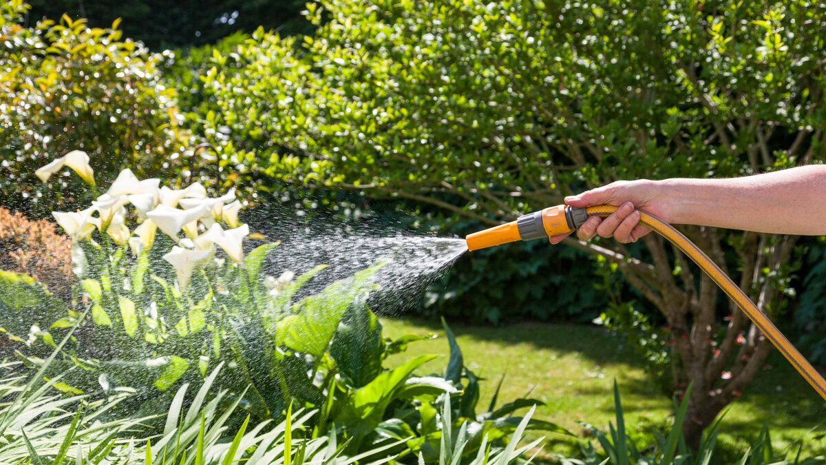 Hosepipe in place for Cork county to end next week 