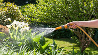 Hosepipe in place for Cork county to end next week 