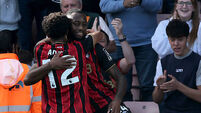 AFC Bournemouth v Brighton and Hove Albion - Premier League - Vitality Stadium