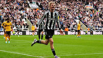 Newcastle United v Wolverhampton Wanderers - Premier League - St James' Park