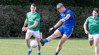 St Finbarr's stave off IAFC relegation against Glanworth