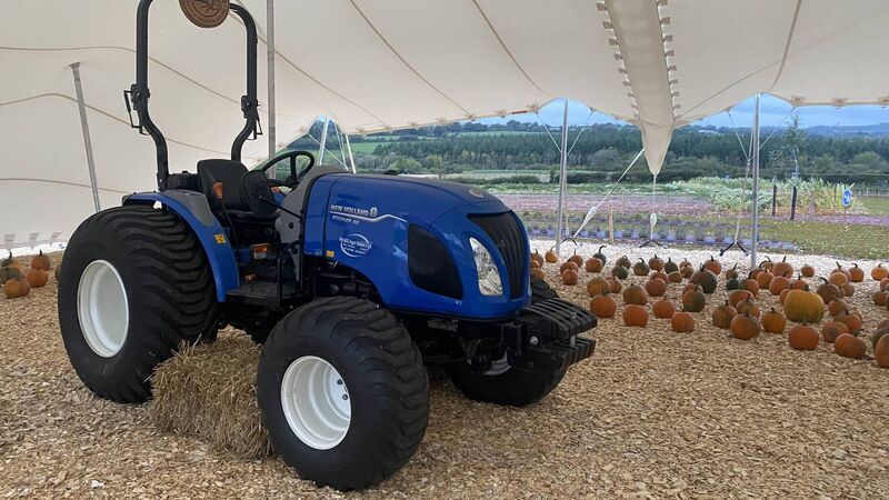 Chance to pick a Cork pumpkin at Killeagh farm