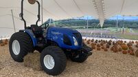 Chance to pick a Cork pumpkin at Killeagh farm