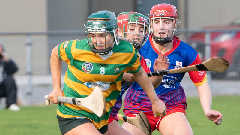 Blackrock to face Ballinora in senior camogie quarter-final after win over Carbery