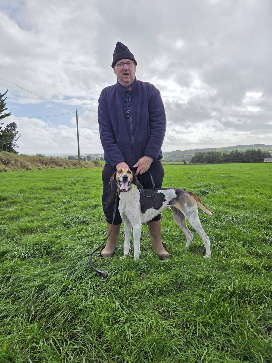Cork Draghunting: Donal O'Donovan of Griffin United with High Miss, winner of the Garry O'Sullivan Senior Memorial Draghunt at Rylane.