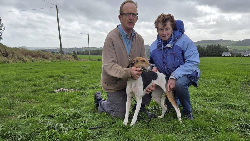 High Miss delivers top-class display in Garry O'Sullivan Memorial Senior Draghunt