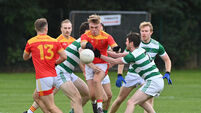 Mallow footballers eager to build on mixed season after avoiding relegation playoff