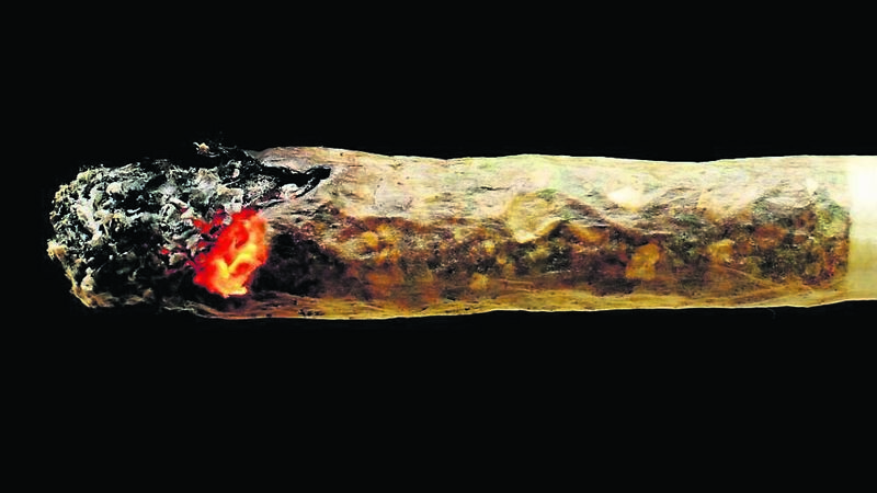 A message to Dáil: Beware the health risks of cannabis