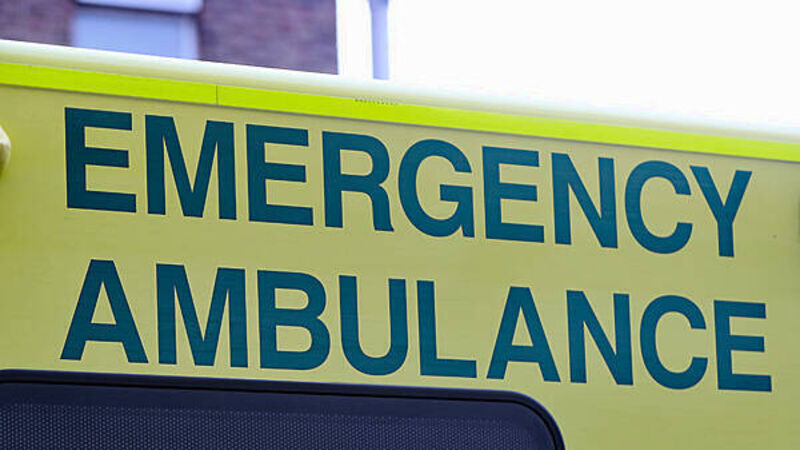 Three cows die after crash with ambulance and trucks in Co Donegal Three cows die after crash with ambulance and trucks in Co Donegal