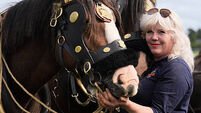 National Ploughing Championships 2025
