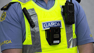 Taoiseach says gardaí fear lone wolf attack on politicians