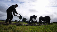 National Ploughing Championships 2025