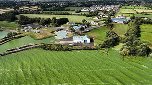 Blue-green algae on Lough Neagh