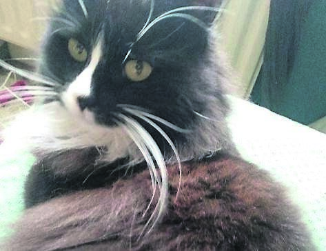 Furka is missing from the Blackrock area.