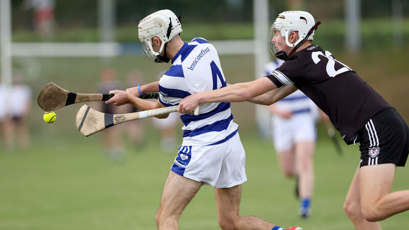 Christy O'Connor: Cork GAA entitled to put value on development squad experience Christy O'Connor: Cork GAA entitled to put value on development squad experience
