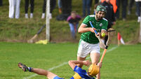 Premier IHC: Carrigaline and Ballincollig meet in rematch of last year's semi-final