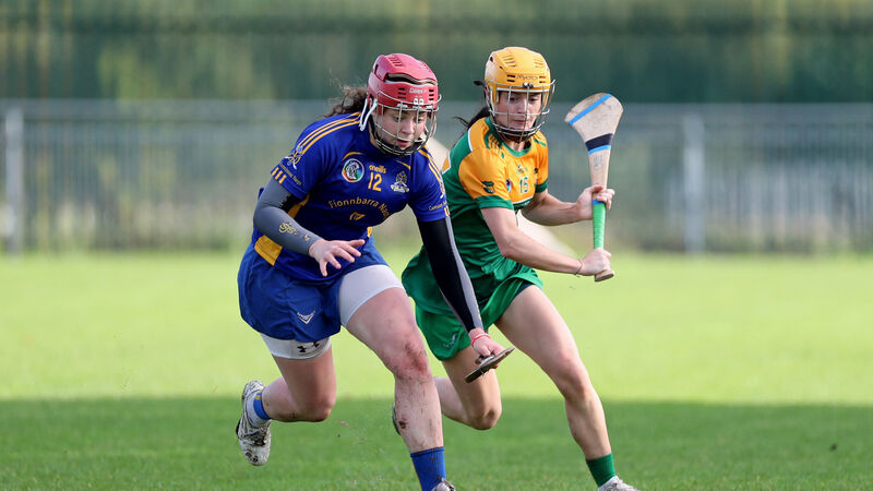 Cork camogie quarter-final preview: Champions St Finbarr's still team to beat 