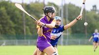 Cork Camogie: Superb team display as St Catherine's knock out Sars 