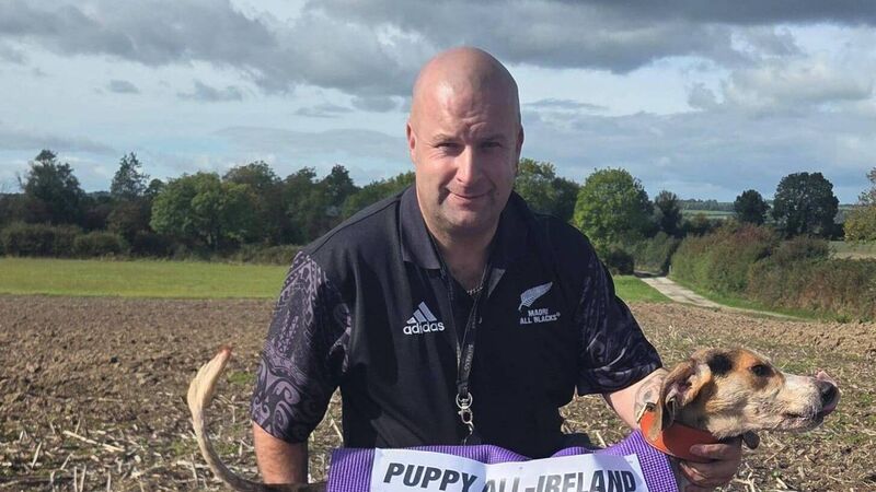 Classy champion Slievemish Duchess crowed All-Ireland Puppy winner Classy champion Slievemish Duchess crowed All-Ireland Puppy winner