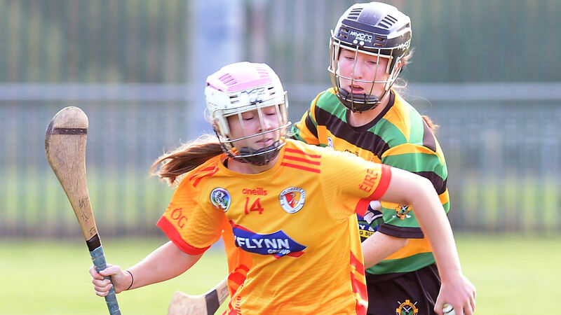 Éire Óg edge out Glen Rovers to set up Cork camogie semi-final with St Catherine's