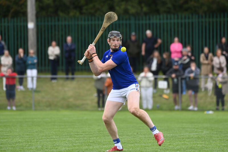  Damien Cahalane was phenomenal against St Finbarr's. Picture: Larry Cummins