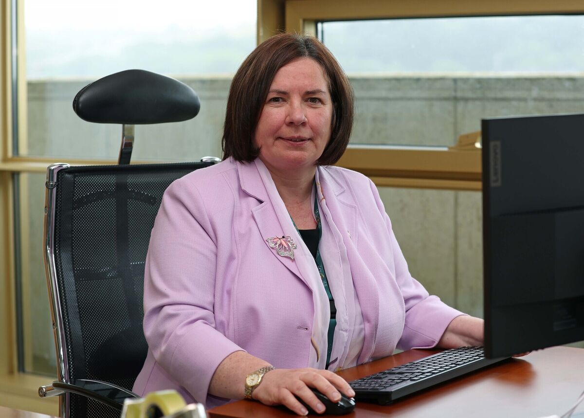 Cork County Council chief executive, Moira Murrell, said it was important to ensure Cork County is an "even more attractive place to live, work, and do business." Picture: Jim Coughlan.