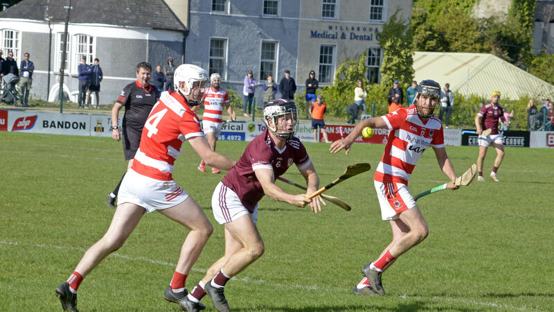 Bishopstown 'died with their boots on' says Courcey Rovers manager