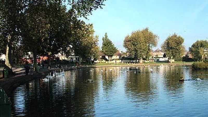 Bird flu outbreak at the Lough wildlife sanctuary in Cork