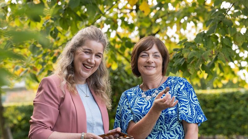 Countdown to Women's Enterprise Day event in Cork 