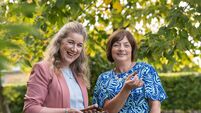 Countdown to Women's Enterprise Day event in Cork 