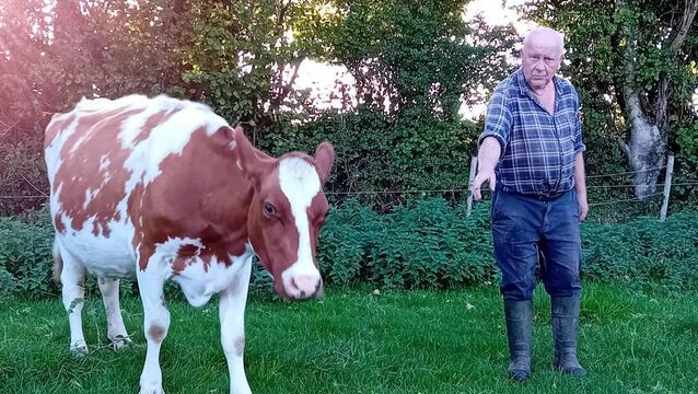 <p class="contextmenu internal_Caption">John Arnold preparing to milk his cows for the final time this week on his farm in Bartlemy. </p>