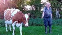 John Arnold: 'After 51 years, I wept as I milked my last cow on my Cork farm'