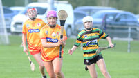 Cork camogie and ladies football preview: Éire Óg battle to reach both senior finals