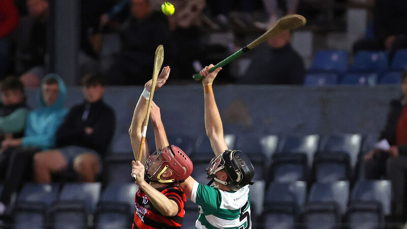 John Horgan: Imokilly are out but East Cork hurling clubs could still win all the top grades