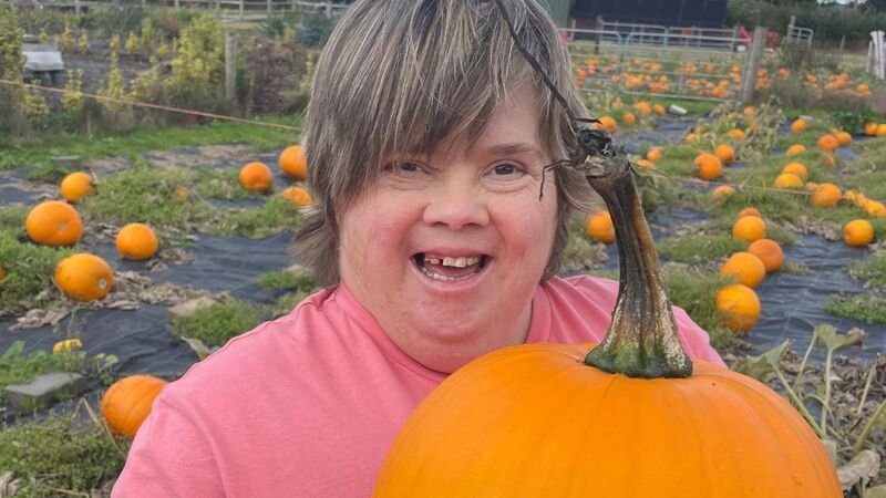 All About Cork: Pick up a pumpkin at the Field of Dreams festival
