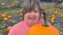 All About Cork: Pick up a pumpkin at the Field of Dreams festival