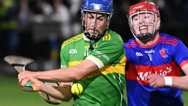 Erin's Own go down after Newtownshandrum make most of Premier Senior relegation replay