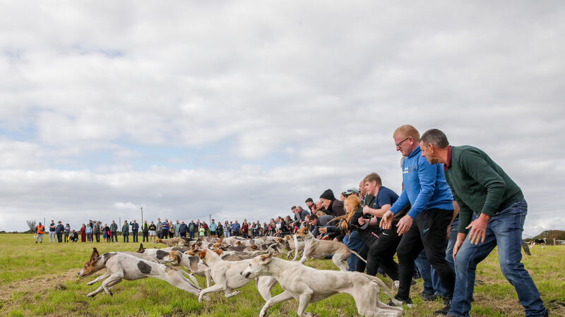 Draghunting is still a special sport for the people of Cork 123 years after first official meet