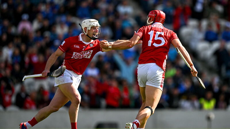 John Horgan on what made Hoggie one of Cork's greatest hurlers