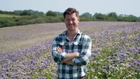 Step into organic farming