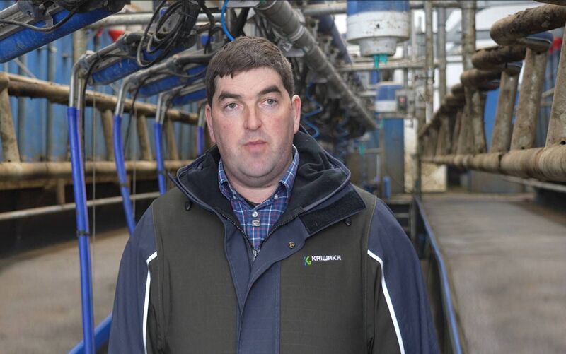 Conor O’Brien, a dairy farmer from Loughrea, Co Galway, was one of 85 herds involved in a Genocells pilot programme.