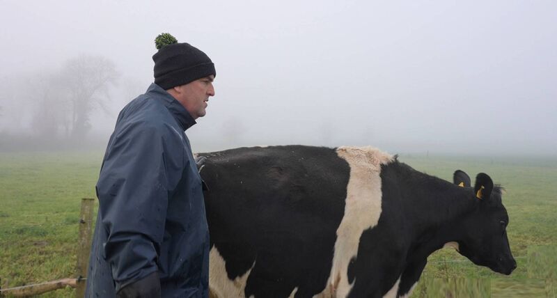 This extra layer of data equips farmers with more information points during the year, especially when approaching Selective Dry Cow Therapy.