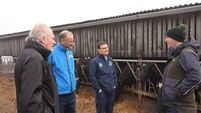 Genocells launches autumn special offer
