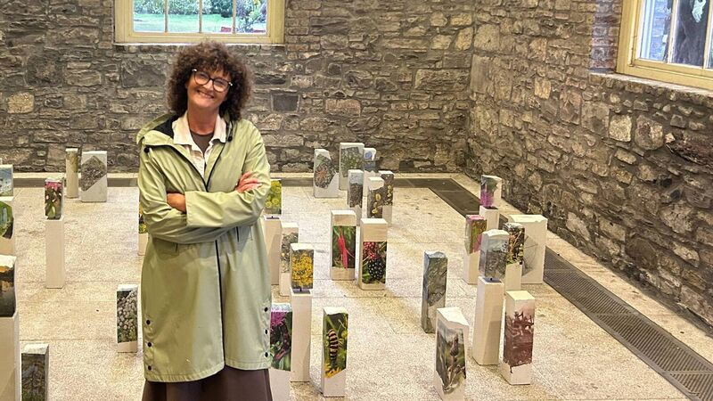 West Cork artist's exhibition examines gravel pit biodiversity