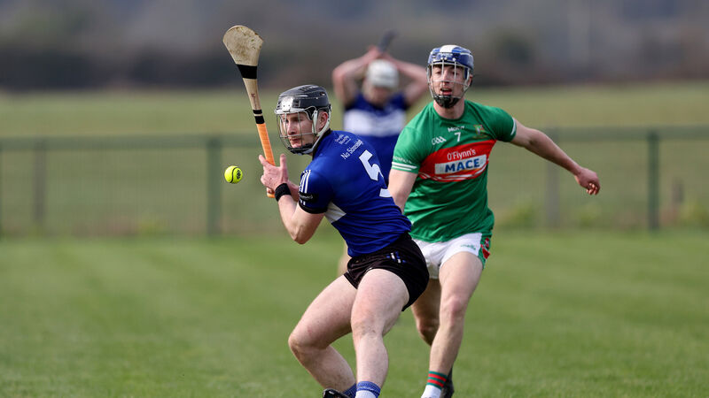 Premier SHC: Bryan Murphy aims to Kerry on his progress with Sarsfields