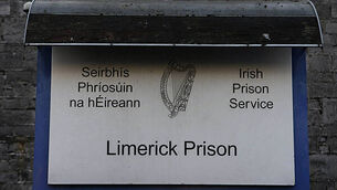 Limerick stock