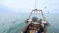 BRITAIN-EU-BREXIT-POLITICS-FISHING