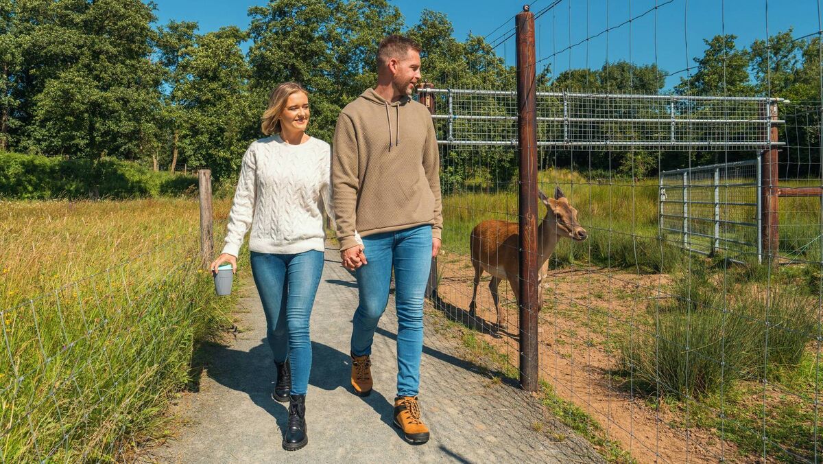 Limerick is a destination of choice, with great outdoor amenities to enjoy, with the epic King John’s Castle right in the heart of the city. Limerick is a destination of choice, with great outdoor amenities to enjoy, with the epic King John’s Castle right in the heart of the city.